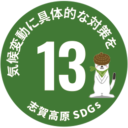 SDGs アイコン13